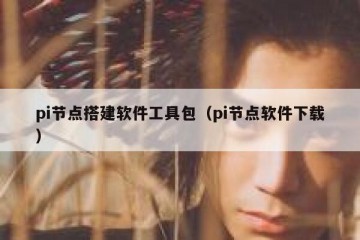 pi节点搭建软件工具包（pi节点软件下载）