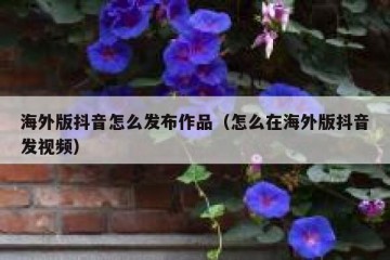 海外版抖音怎么发布作品（怎么在海外版抖音发视频）