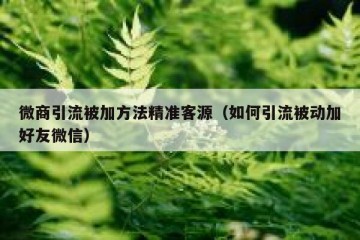 微商引流被加方法精准客源（如何引流被动加好友微信）