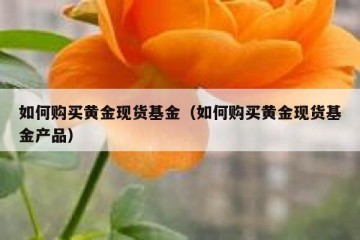 如何购买黄金现货基金（如何购买黄金现货基金产品）
