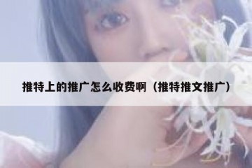 推特上的推广怎么收费啊（推特推文推广）