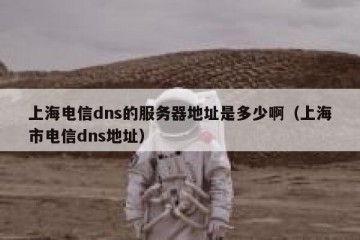 上海电信dns的服务器地址是多少啊（上海市电信dns地址）