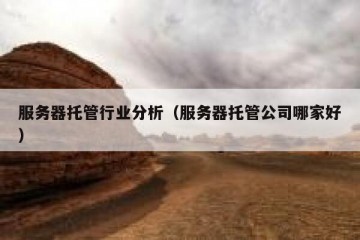 服务器托管行业分析（服务器托管公司哪家好）