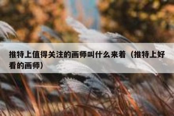 推特上值得关注的画师叫什么来着（推特上好看的画师）