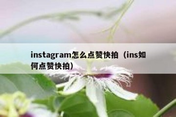 instagram怎么点赞快拍（ins如何点赞快拍）