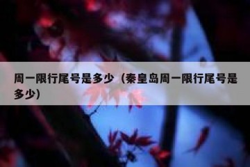 周一限行尾号是多少（秦皇岛周一限行尾号是多少）