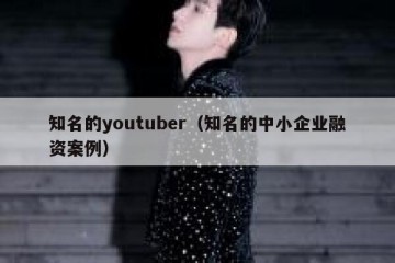 知名的youtuber（知名的中小企业融资案例）