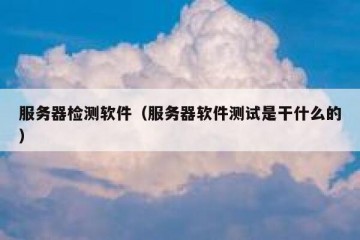 服务器检测软件（服务器软件测试是干什么的）