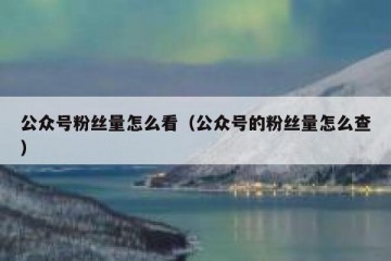 公众号粉丝量怎么看（公众号的粉丝量怎么查）