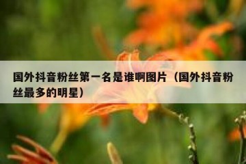 国外抖音粉丝第一名是谁啊图片（国外抖音粉丝最多的明星）