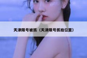 天津限号被抓（天津限号抓拍位置）