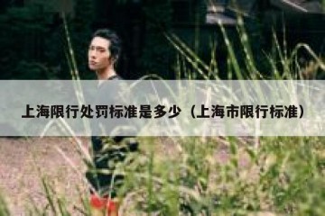 上海限行处罚标准是多少（上海市限行标准）