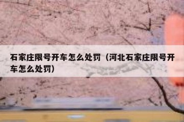石家庄限号开车怎么处罚（河北石家庄限号开车怎么处罚）