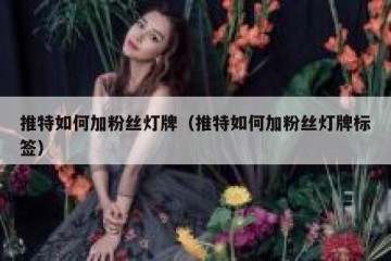 推特如何加粉丝灯牌（推特如何加粉丝灯牌标签）