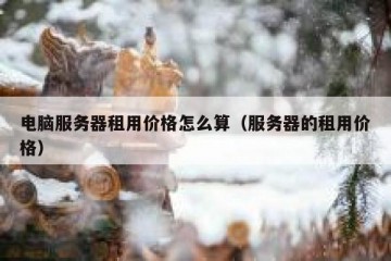 电脑服务器租用价格怎么算（服务器的租用价格）