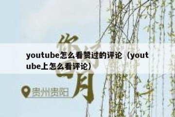 youtube怎么看赞过的评论（youtube上怎么看评论）