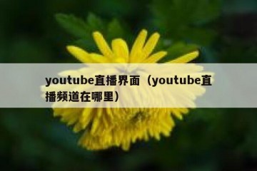 youtube直播界面（youtube直播频道在哪里）