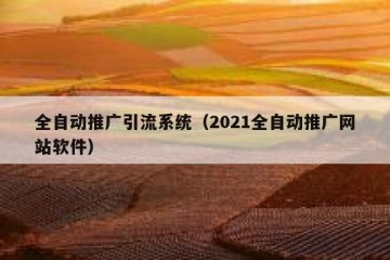 全自动推广引流系统（2021全自动推广网站软件）