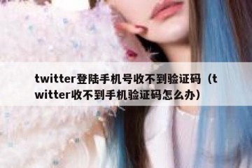 twitter登陆手机号收不到验证码（twitter收不到手机验证码怎么办）