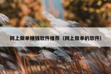 网上做单赚钱软件推荐（网上做单的软件）