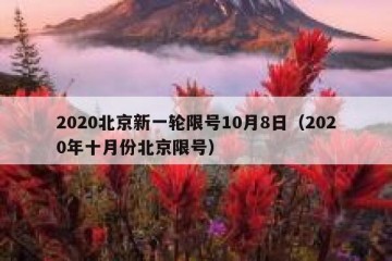 2020北京新一轮限号10月8日（2020年十月份北京限号）