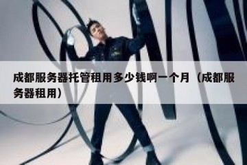 成都服务器托管租用多少钱啊一个月（成都服务器租用）
