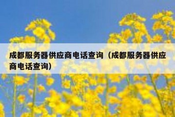 成都服务器供应商电话查询（成都服务器供应商电话查询）