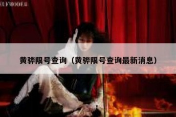 黄骅限号查询（黄骅限号查询最新消息）