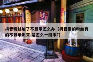 抖音粉丝加了不显示怎么办（抖音里的粉丝有的不显示出来,是怎么一回事?）