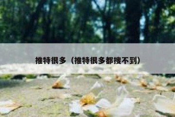 推特很多（推特很多都搜不到）