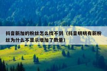 抖音新加的粉丝怎么找不到（抖音明明有新粉丝为什么不显示增加了数量）