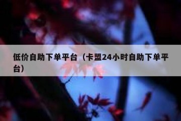 低价自助下单平台（卡盟24小时自助下单平台）