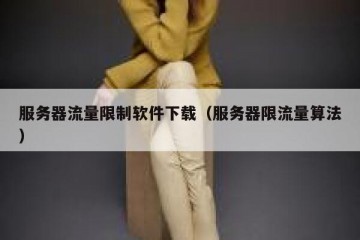 服务器流量限制软件下载（服务器限流量算法）