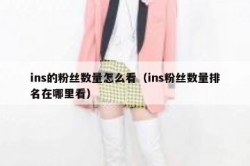 ins的粉丝数量怎么看（ins粉丝数量排名在哪里看）