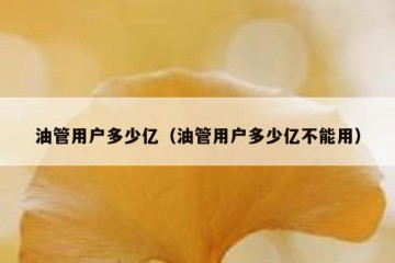 油管用户多少亿（油管用户多少亿不能用）