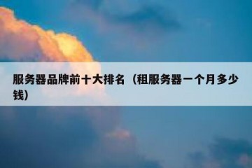 服务器品牌前十大排名（租服务器一个月多少钱）