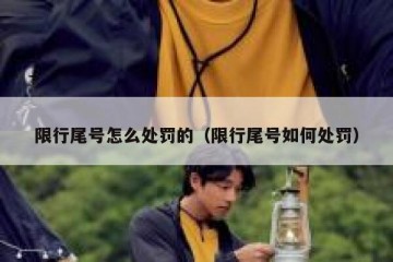 限行尾号怎么处罚的（限行尾号如何处罚）