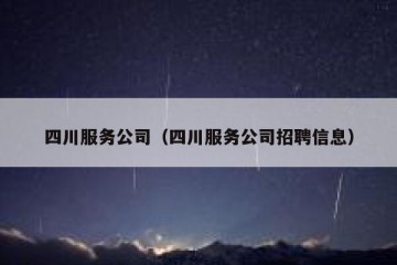 四川服务公司（四川服务公司招聘信息）