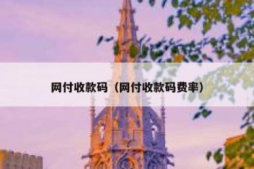 网付收款码（网付收款码费率）
