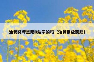 油管奖牌是跟B站学的吗（油管播放奖励）