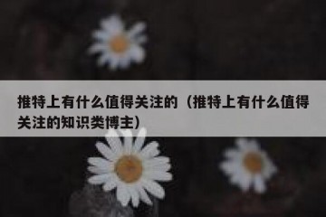 推特上有什么值得关注的（推特上有什么值得关注的知识类博主）