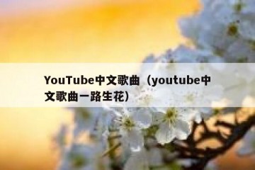 YouTube中文歌曲（youtube中文歌曲一路生花）