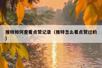 推特如何查看点赞记录（推特怎么看点赞过的）