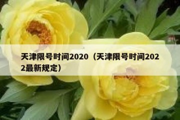 天津限号时间2020（天津限号时间2022最新规定）