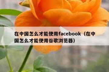 在中国怎么才能使用facebook（在中国怎么才能使用谷歌浏览器）