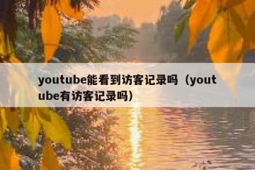 youtube能看到访客记录吗（youtube有访客记录吗）