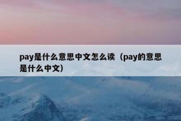 pay是什么意思中文怎么读（pay的意思是什么中文）