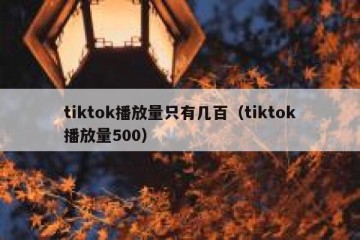 tiktok播放量只有几百（tiktok播放量500）