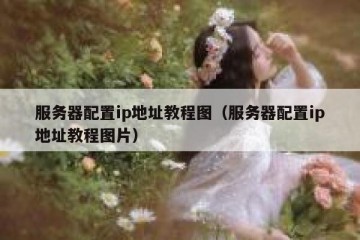 服务器配置ip地址教程图（服务器配置ip地址教程图片）