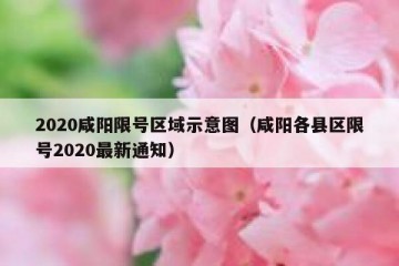 2020咸阳限号区域示意图（咸阳各县区限号2020最新通知）